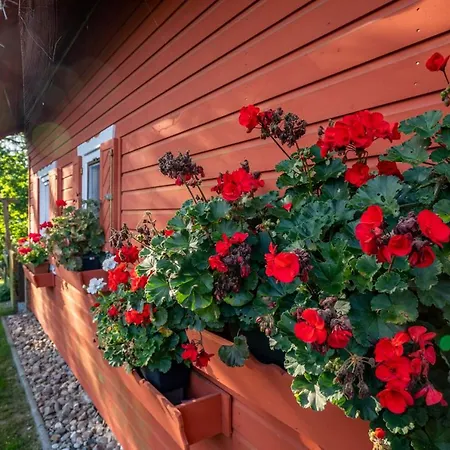 Gerdi * Schwarz (Mecklenburgische Seenplatte)