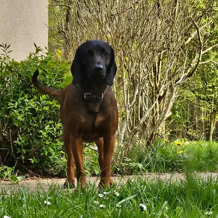 Vakantiehuis Gerdi *