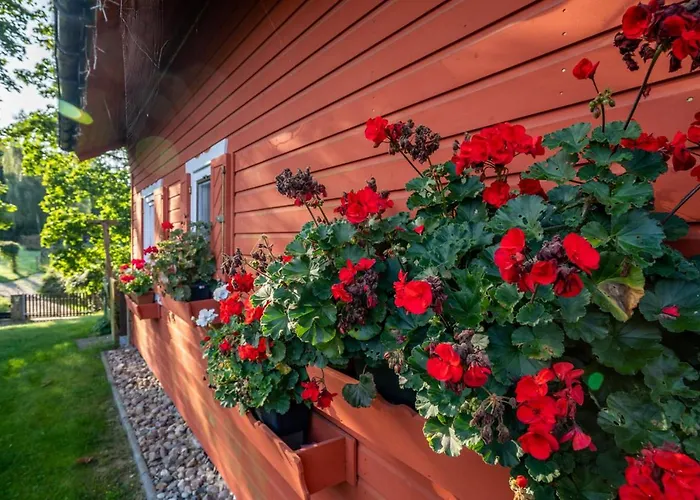 Gerdi * Schwarz (Mecklenburgische Seenplatte)